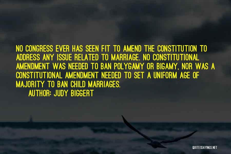 Judy Biggert Quotes: No Congress Ever Has Seen Fit To Amend The Constitution To Address Any Issue Related To Marriage. No Constitutional Amendment
