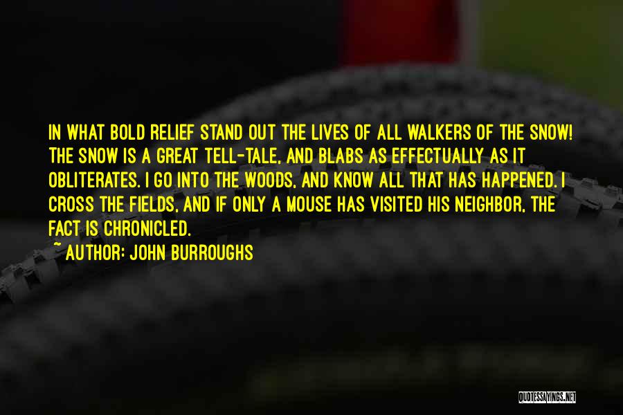 John Burroughs Quotes: In What Bold Relief Stand Out The Lives Of All Walkers Of The Snow! The Snow Is A Great Tell-tale,