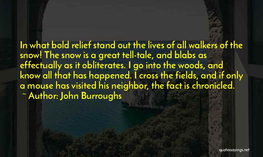 John Burroughs Quotes: In What Bold Relief Stand Out The Lives Of All Walkers Of The Snow! The Snow Is A Great Tell-tale,