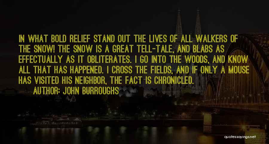 John Burroughs Quotes: In What Bold Relief Stand Out The Lives Of All Walkers Of The Snow! The Snow Is A Great Tell-tale,