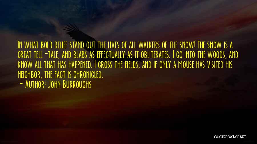 John Burroughs Quotes: In What Bold Relief Stand Out The Lives Of All Walkers Of The Snow! The Snow Is A Great Tell-tale,