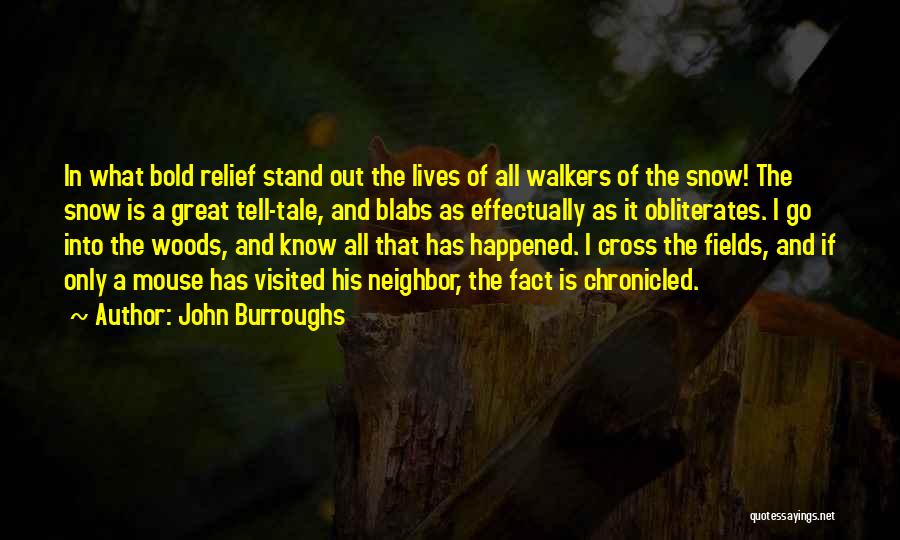 John Burroughs Quotes: In What Bold Relief Stand Out The Lives Of All Walkers Of The Snow! The Snow Is A Great Tell-tale,