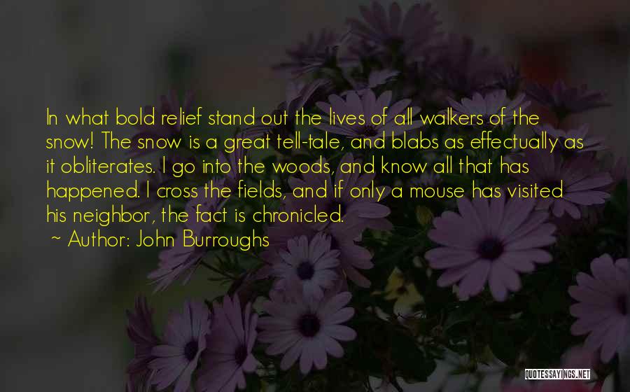 John Burroughs Quotes: In What Bold Relief Stand Out The Lives Of All Walkers Of The Snow! The Snow Is A Great Tell-tale,