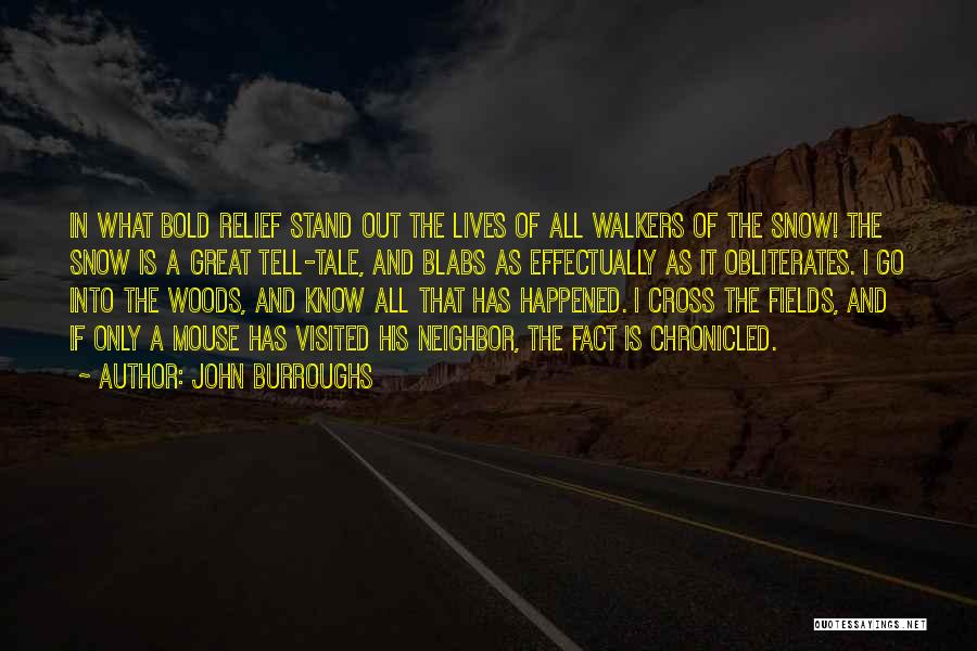 John Burroughs Quotes: In What Bold Relief Stand Out The Lives Of All Walkers Of The Snow! The Snow Is A Great Tell-tale,