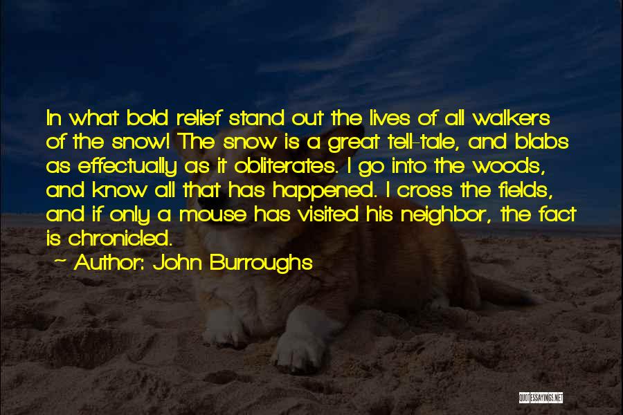 John Burroughs Quotes: In What Bold Relief Stand Out The Lives Of All Walkers Of The Snow! The Snow Is A Great Tell-tale,