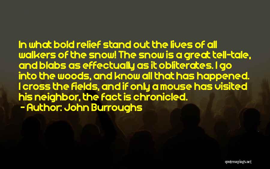 John Burroughs Quotes: In What Bold Relief Stand Out The Lives Of All Walkers Of The Snow! The Snow Is A Great Tell-tale,
