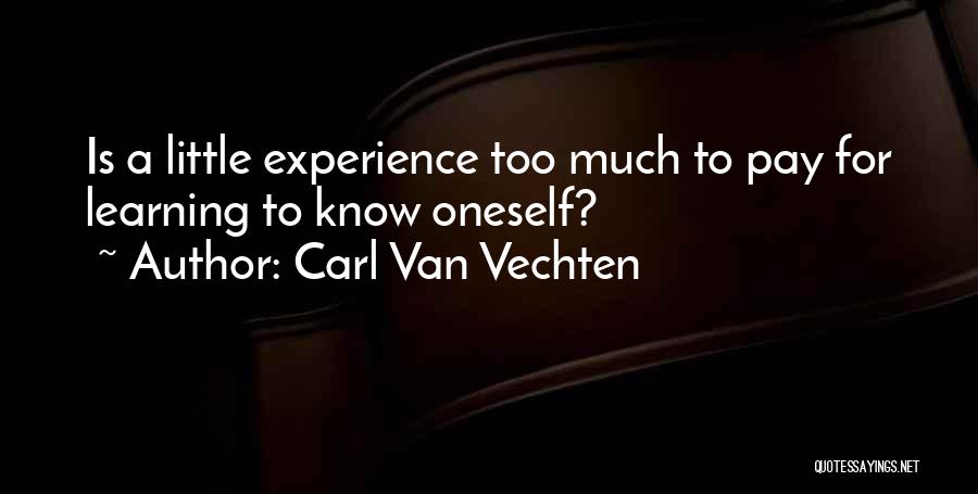 Carl Van Vechten Quotes: Is A Little Experience Too Much To Pay For Learning To Know Oneself?
