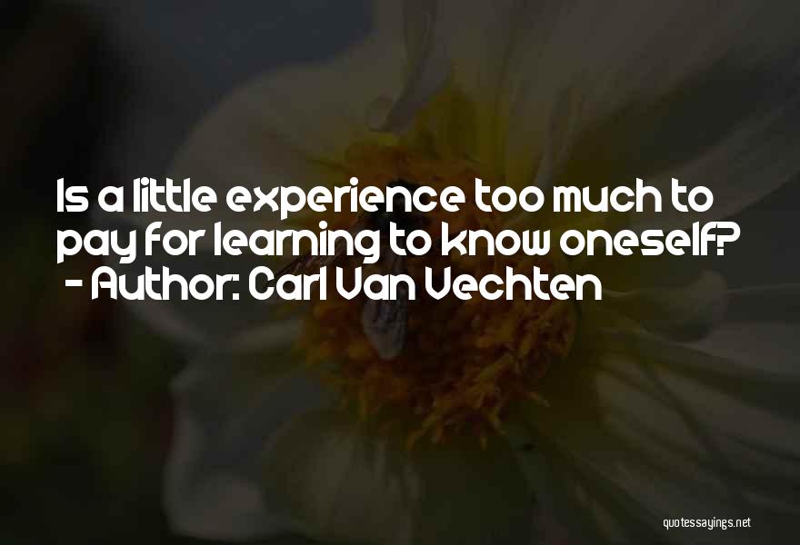 Carl Van Vechten Quotes: Is A Little Experience Too Much To Pay For Learning To Know Oneself?