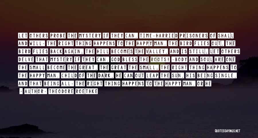 Theodore Roethke Quotes: Let Others Probe The Mystery If They Can. Time-harried Prisoners Of Shall And Will- The Right Thing Happens To The