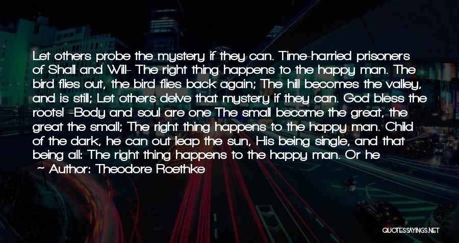 Theodore Roethke Quotes: Let Others Probe The Mystery If They Can. Time-harried Prisoners Of Shall And Will- The Right Thing Happens To The