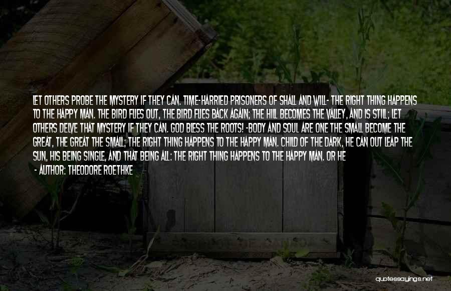 Theodore Roethke Quotes: Let Others Probe The Mystery If They Can. Time-harried Prisoners Of Shall And Will- The Right Thing Happens To The