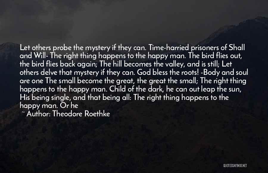 Theodore Roethke Quotes: Let Others Probe The Mystery If They Can. Time-harried Prisoners Of Shall And Will- The Right Thing Happens To The