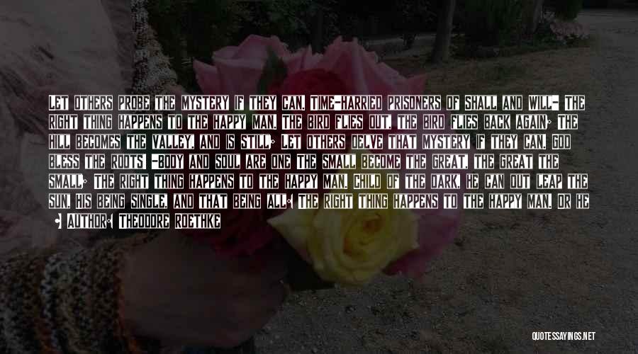 Theodore Roethke Quotes: Let Others Probe The Mystery If They Can. Time-harried Prisoners Of Shall And Will- The Right Thing Happens To The