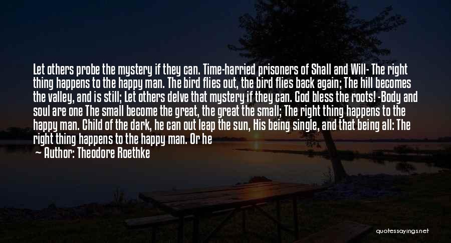 Theodore Roethke Quotes: Let Others Probe The Mystery If They Can. Time-harried Prisoners Of Shall And Will- The Right Thing Happens To The