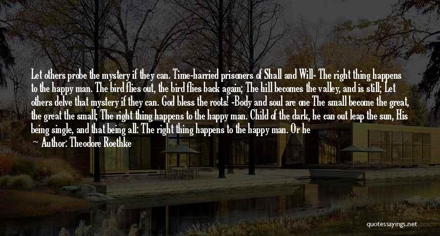 Theodore Roethke Quotes: Let Others Probe The Mystery If They Can. Time-harried Prisoners Of Shall And Will- The Right Thing Happens To The