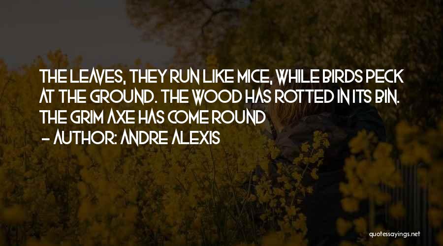 Andre Alexis Quotes: The Leaves, They Run Like Mice, While Birds Peck At The Ground. The Wood Has Rotted In Its Bin. The