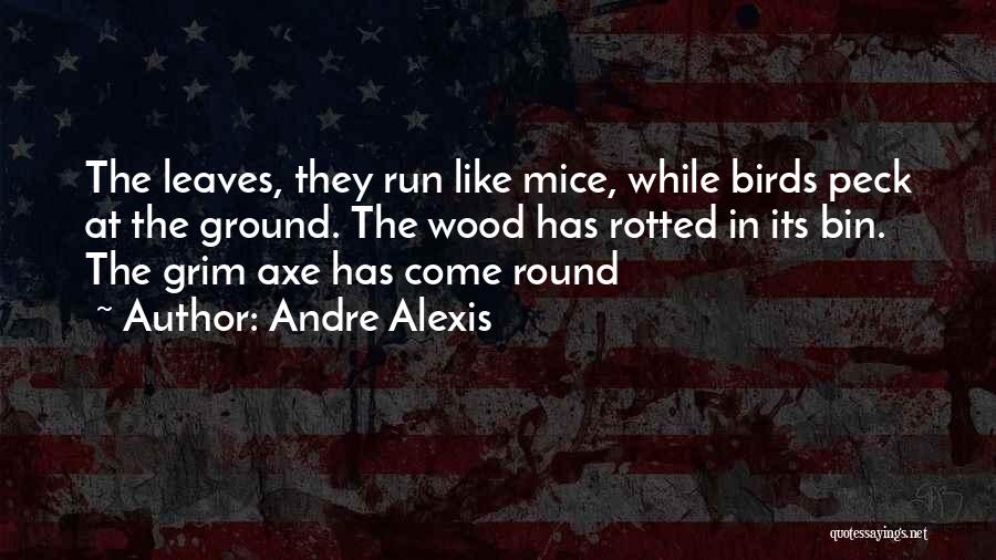 Andre Alexis Quotes: The Leaves, They Run Like Mice, While Birds Peck At The Ground. The Wood Has Rotted In Its Bin. The