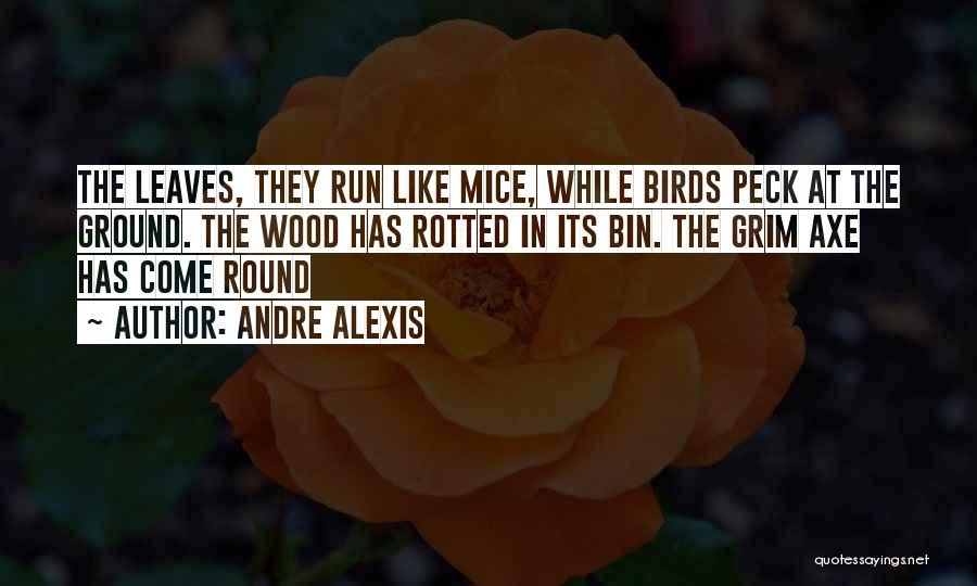 Andre Alexis Quotes: The Leaves, They Run Like Mice, While Birds Peck At The Ground. The Wood Has Rotted In Its Bin. The