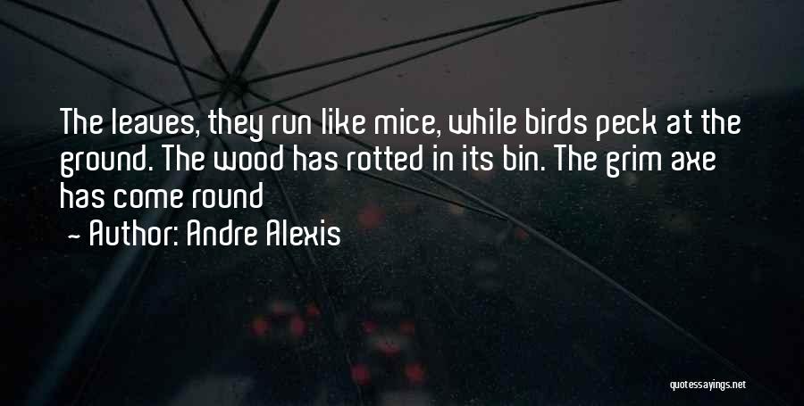 Andre Alexis Quotes: The Leaves, They Run Like Mice, While Birds Peck At The Ground. The Wood Has Rotted In Its Bin. The