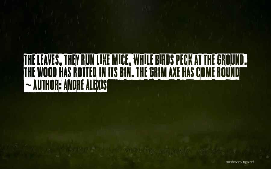 Andre Alexis Quotes: The Leaves, They Run Like Mice, While Birds Peck At The Ground. The Wood Has Rotted In Its Bin. The