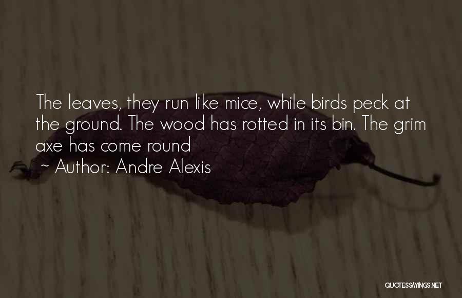 Andre Alexis Quotes: The Leaves, They Run Like Mice, While Birds Peck At The Ground. The Wood Has Rotted In Its Bin. The