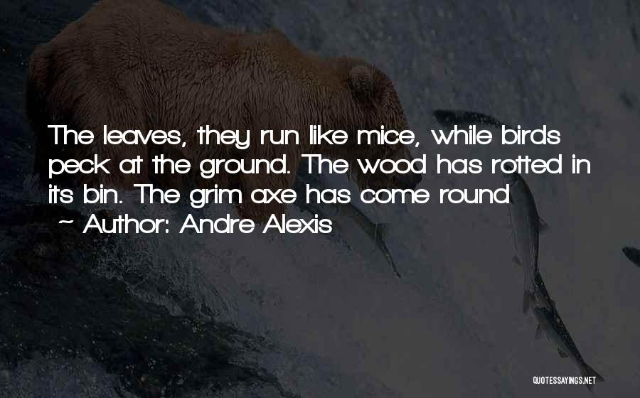 Andre Alexis Quotes: The Leaves, They Run Like Mice, While Birds Peck At The Ground. The Wood Has Rotted In Its Bin. The