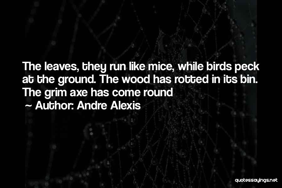 Andre Alexis Quotes: The Leaves, They Run Like Mice, While Birds Peck At The Ground. The Wood Has Rotted In Its Bin. The