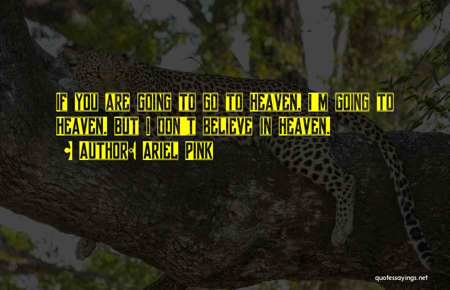 Ariel Pink Quotes: If You Are Going To Go To Heaven, I'm Going To Heaven. But I Don't Believe In Heaven.