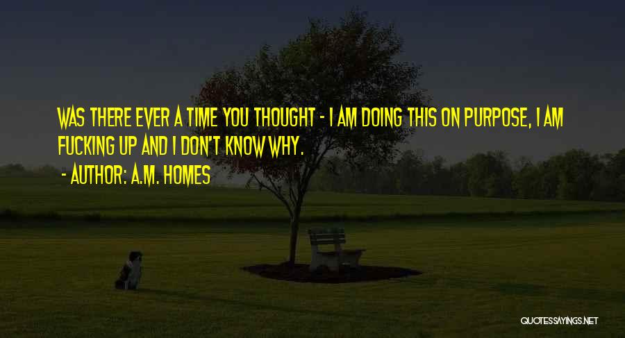 A.M. Homes Quotes: Was There Ever A Time You Thought - I Am Doing This On Purpose, I Am Fucking Up And I