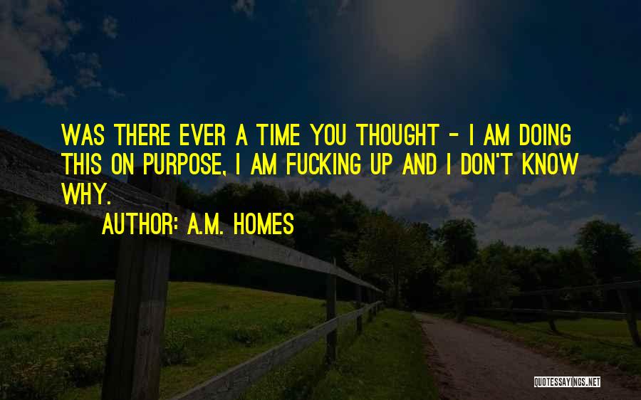 A.M. Homes Quotes: Was There Ever A Time You Thought - I Am Doing This On Purpose, I Am Fucking Up And I