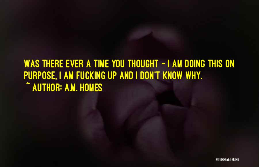 A.M. Homes Quotes: Was There Ever A Time You Thought - I Am Doing This On Purpose, I Am Fucking Up And I