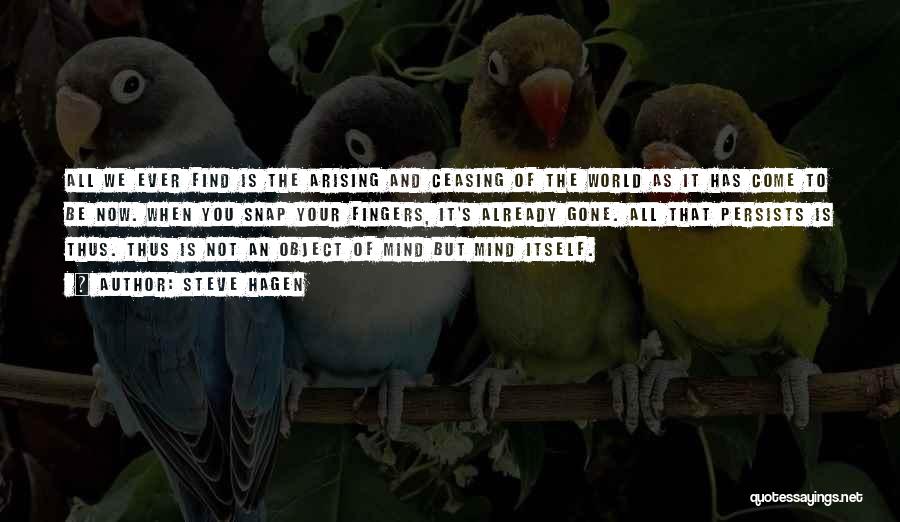 Steve Hagen Quotes: All We Ever Find Is The Arising And Ceasing Of The World As It Has Come To Be Now. When