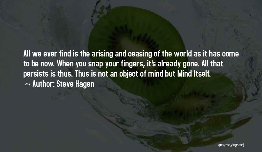 Steve Hagen Quotes: All We Ever Find Is The Arising And Ceasing Of The World As It Has Come To Be Now. When