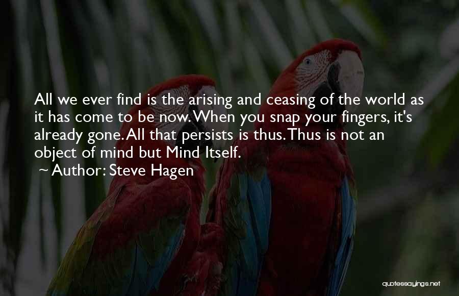 Steve Hagen Quotes: All We Ever Find Is The Arising And Ceasing Of The World As It Has Come To Be Now. When