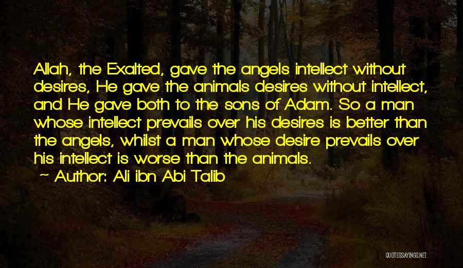 Ali Ibn Abi Talib Quotes: Allah, The Exalted, Gave The Angels Intellect Without Desires, He Gave The Animals Desires Without Intellect, And He Gave Both