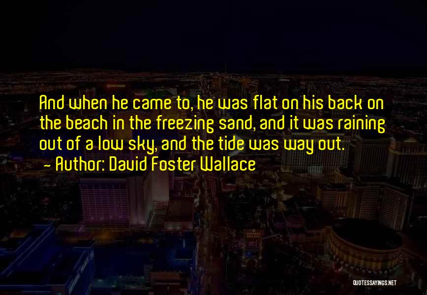 David Foster Wallace Quotes: And When He Came To, He Was Flat On His Back On The Beach In The Freezing Sand, And It