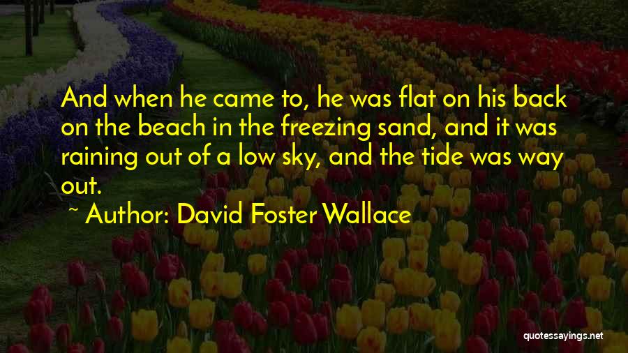 David Foster Wallace Quotes: And When He Came To, He Was Flat On His Back On The Beach In The Freezing Sand, And It