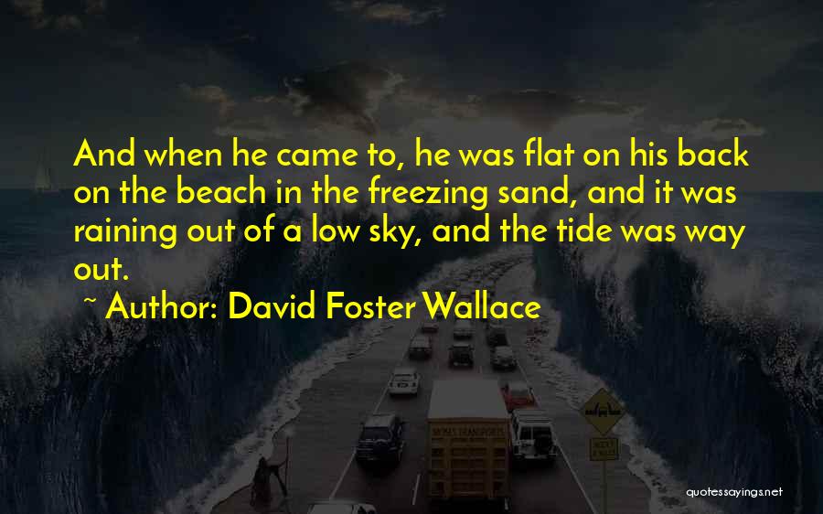 David Foster Wallace Quotes: And When He Came To, He Was Flat On His Back On The Beach In The Freezing Sand, And It