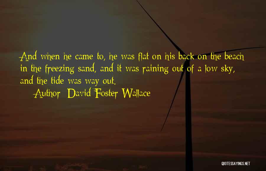 David Foster Wallace Quotes: And When He Came To, He Was Flat On His Back On The Beach In The Freezing Sand, And It