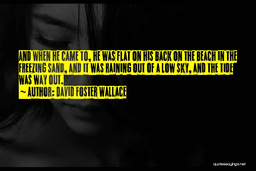 David Foster Wallace Quotes: And When He Came To, He Was Flat On His Back On The Beach In The Freezing Sand, And It
