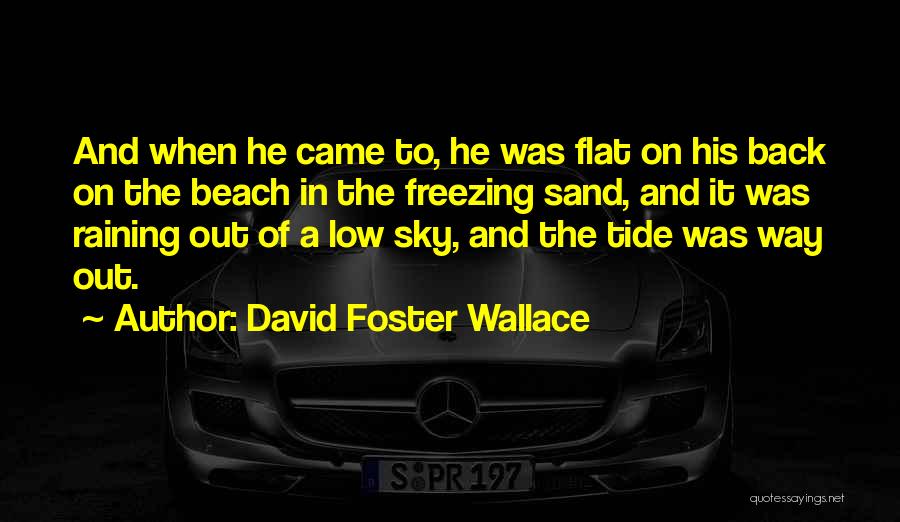 David Foster Wallace Quotes: And When He Came To, He Was Flat On His Back On The Beach In The Freezing Sand, And It