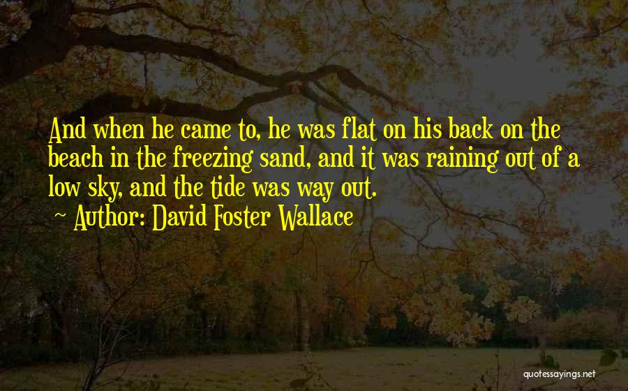 David Foster Wallace Quotes: And When He Came To, He Was Flat On His Back On The Beach In The Freezing Sand, And It