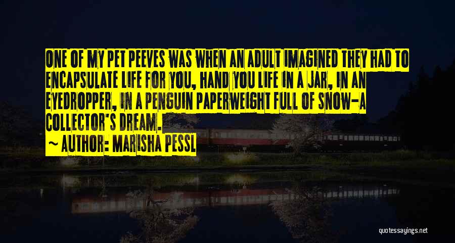 Marisha Pessl Quotes: One Of My Pet Peeves Was When An Adult Imagined They Had To Encapsulate Life For You, Hand You Life