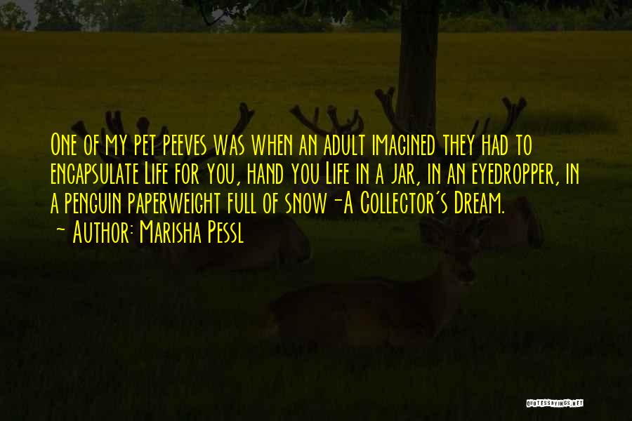 Marisha Pessl Quotes: One Of My Pet Peeves Was When An Adult Imagined They Had To Encapsulate Life For You, Hand You Life