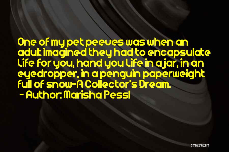 Marisha Pessl Quotes: One Of My Pet Peeves Was When An Adult Imagined They Had To Encapsulate Life For You, Hand You Life