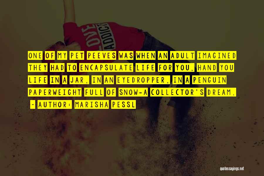 Marisha Pessl Quotes: One Of My Pet Peeves Was When An Adult Imagined They Had To Encapsulate Life For You, Hand You Life