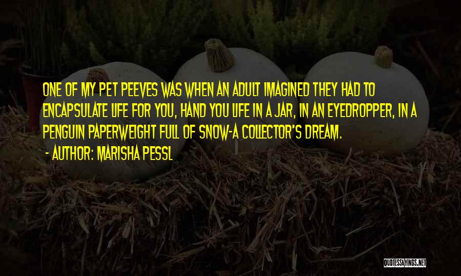 Marisha Pessl Quotes: One Of My Pet Peeves Was When An Adult Imagined They Had To Encapsulate Life For You, Hand You Life