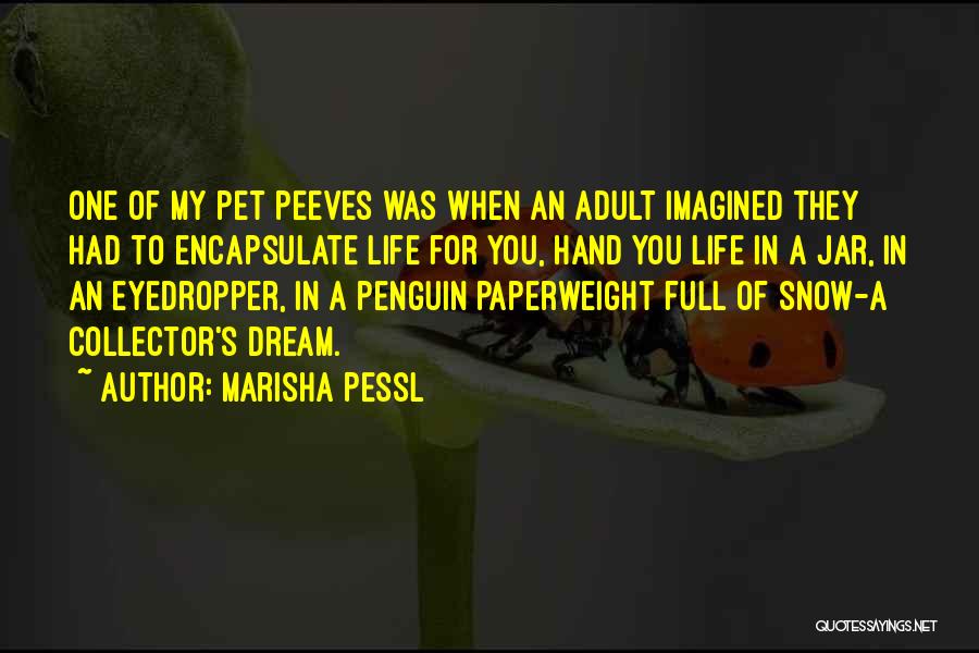 Marisha Pessl Quotes: One Of My Pet Peeves Was When An Adult Imagined They Had To Encapsulate Life For You, Hand You Life