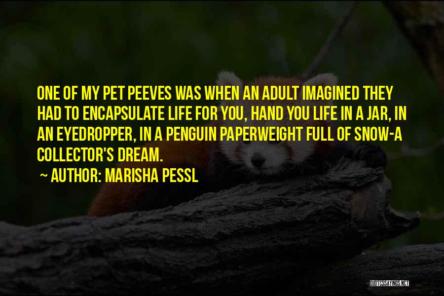 Marisha Pessl Quotes: One Of My Pet Peeves Was When An Adult Imagined They Had To Encapsulate Life For You, Hand You Life
