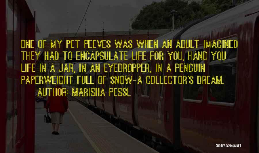Marisha Pessl Quotes: One Of My Pet Peeves Was When An Adult Imagined They Had To Encapsulate Life For You, Hand You Life